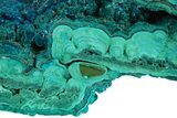 Brilliant Teal Botryoidal Chrysocolla and Malachite - Chile #299577-1